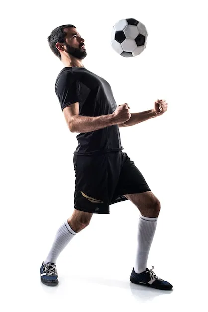 UED体育在线APP下载与更新通道